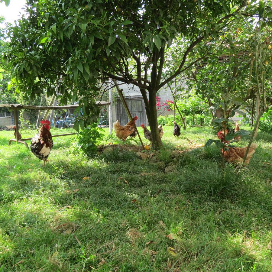 Agroturismo La Casona De Belmonte Ovinana  Exteriör bild