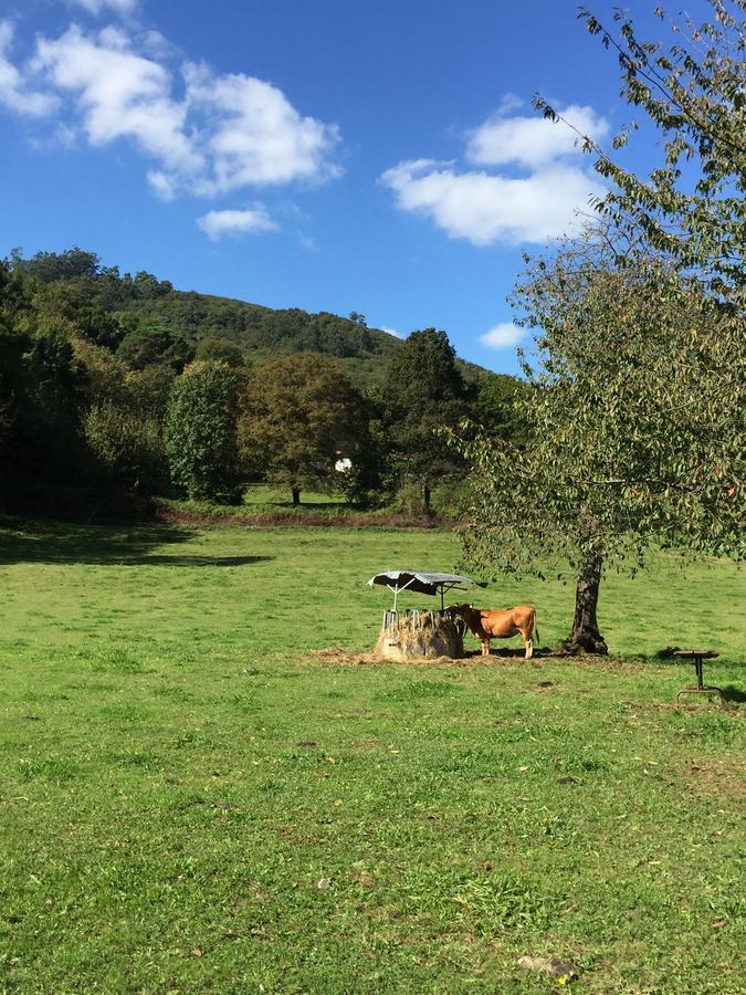 Agroturismo La Casona De Belmonte Ovinana  Exteriör bild